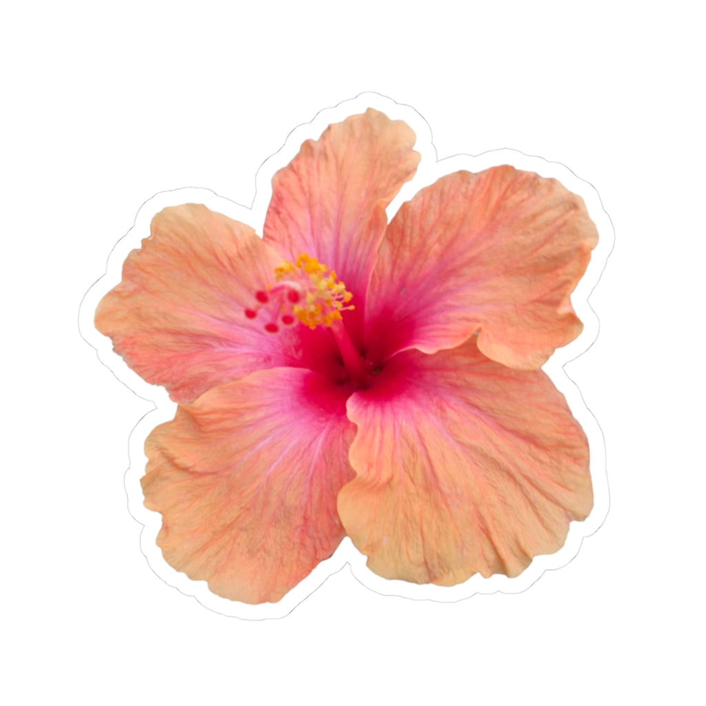 Hibiscus Flower Sticker